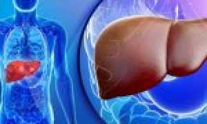 Стеатоз печени: подробное описание, выбор препарата для лечения, чем опасен и советы как вылечить болезнь