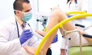 Как определить беременность по шейке матки? Какая шейка матки при беременности на ощупь?