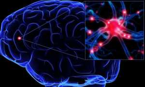 Правила применения уколов Глиатилин: дозировка и противопоказания