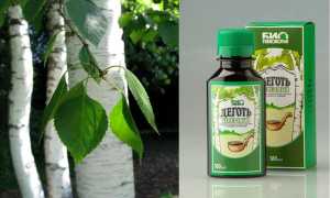 Подробная инструкция по применению березового дегтя для очищения организма