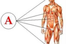 К чему приведет передозировка витамина А, и как устранить избыток вещества в организме