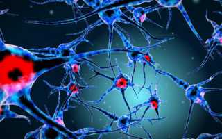 К вопросу о ботулинотерапии постинсультного спастического пареза: механизмы действия ботулотоксина, алгоритм восстановительного лечения