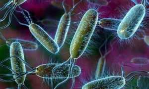 Чем объяснить развитие пневматоза печени, и как его вылечить