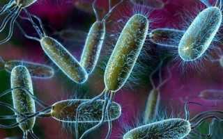 Чем объяснить развитие пневматоза печени, и как его вылечить