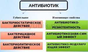 «Левометил ПРО»: инструкция по применению, показания