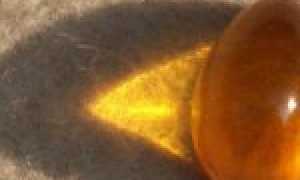 Янтарная кислота: отзывы врачей. Янтарная кислота для похудения: отзывы