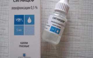 Сигницеф: показания, способ применения, обзор аналогов