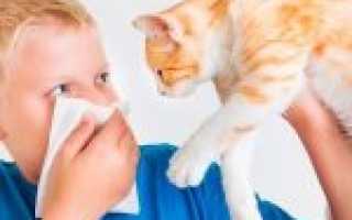 Как проявляется аллергия у ребенка на животных и чем ее лечить?