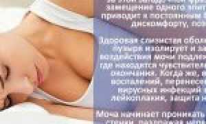 Лечение лейкоплакии мочевого пузыря: какой метод считается наиболее эффективным