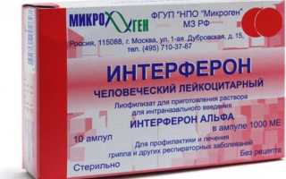 Интерферон человеческий лейкоцитарный: инструкция по применению