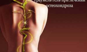 Можно ли Траумель при беременности в 1, 2, 3 триместре. Мазь и гель Траумель при беременности: инструкция