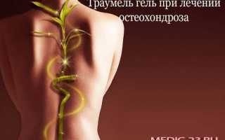 Можно ли Траумель при беременности в 1, 2, 3 триместре. Мазь и гель Траумель при беременности: инструкция