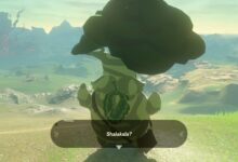 Photo of Стратегия прохождения Zelda: Breath of the Wild