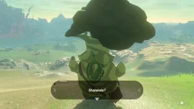 Photo of Стратегия прохождения Zelda: Breath of the Wild