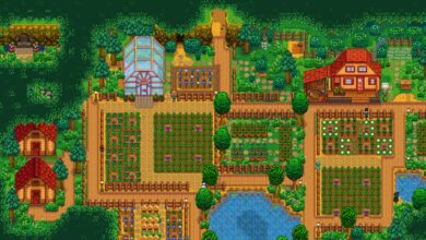 Photo of Стратегия прохождения Stardew Valley